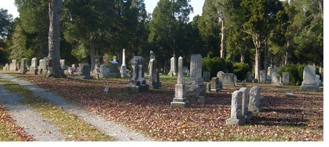 Website graveyard